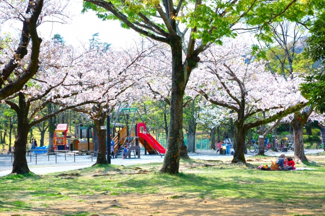 老人ホーム見学でチェックすべき項目5選