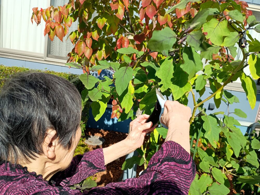 藤枝市老人ホーム_園芸クラブ収穫から調理まで