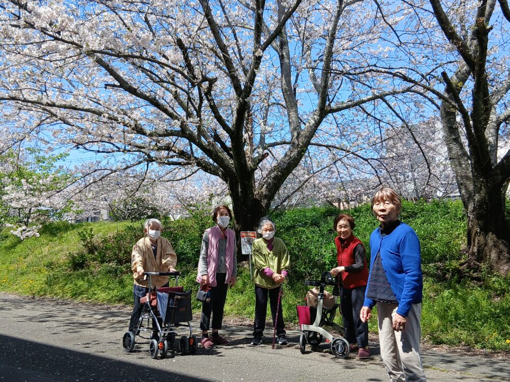 藤枝市老人ホーム_4月の風物詩「桜」