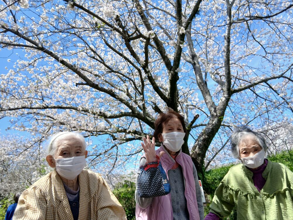 藤枝市老人ホーム_4月の風物詩「桜」
