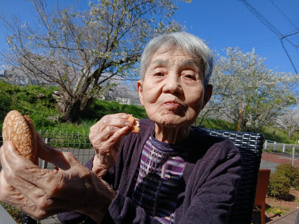 藤枝市老人ホーム_4月の風物詩「桜」