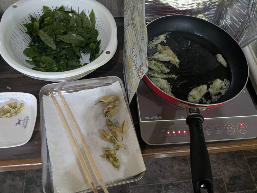 静岡市駿河区老人ホーム_新茶の芽の天ぷら
