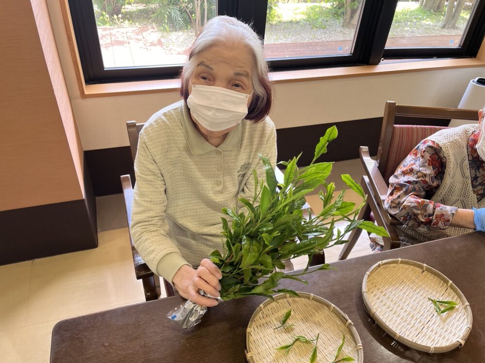 静岡市駿河区老人ホーム_新茶の芽の天ぷら