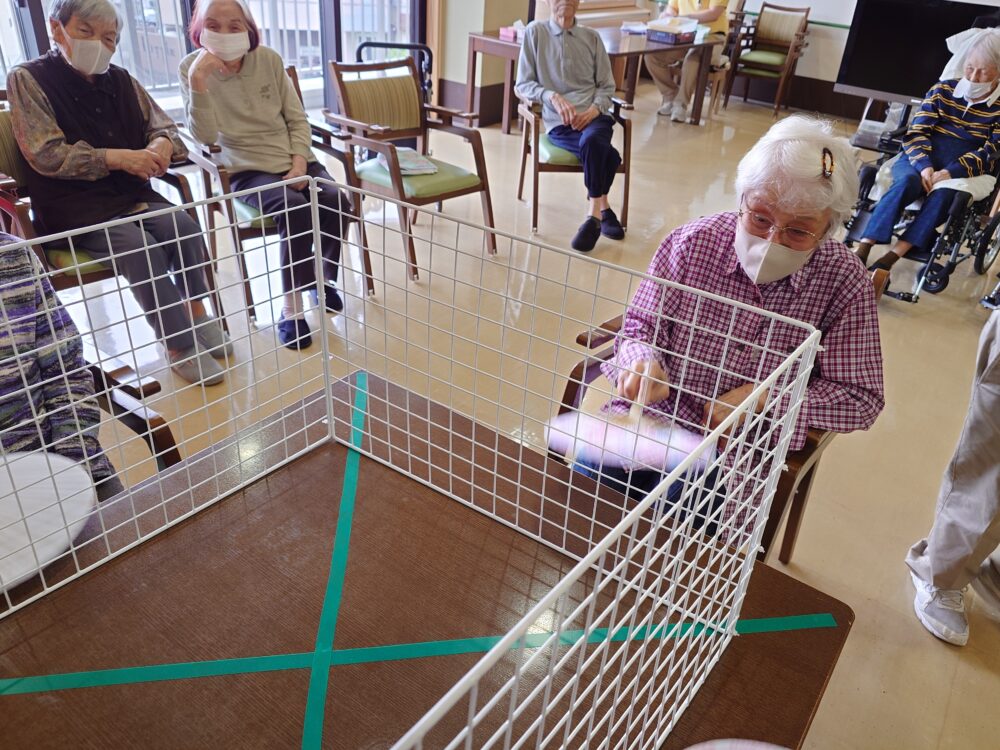 静岡市駿河区老人ホーム_端午の節句～季節を感じる楽しいひととき～