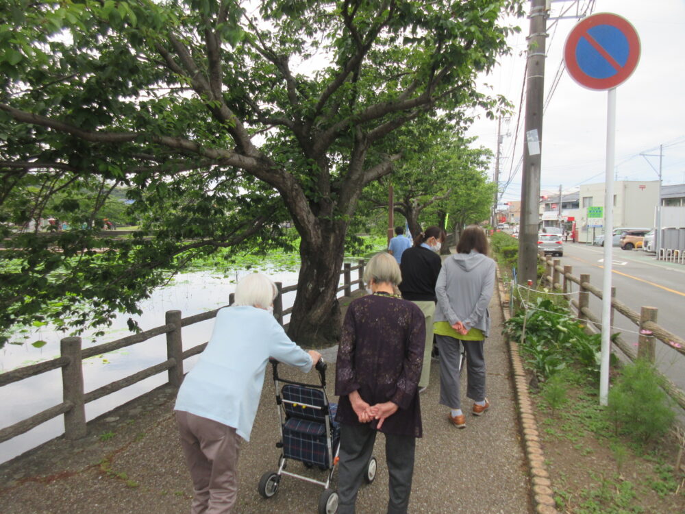 静岡市葵区老人ホーム_紫陽花見物 小鹿公園へ