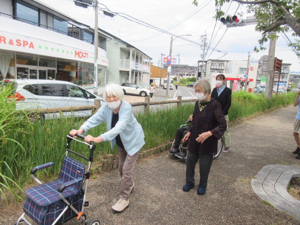 静岡市葵区老人ホーム_紫陽花見物 小鹿公園へ
