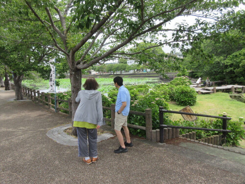 静岡市葵区老人ホーム_紫陽花見物 小鹿公園へ